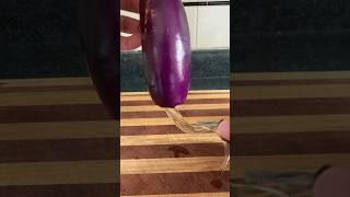 Why it’s called Eggplant.                         #eggplant #egg #biology