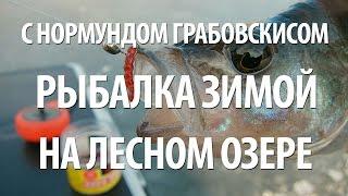 ЗИМНЯЯ РЫБАЛКА на ОЗЕРЕ с НОРМУНДОМ ГРАБОВСКИСОМ на ЖЕРЛИЦЫ и УДОЧКУ