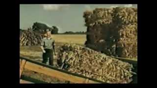 American Farmer Movie - 1953, Blazey Family | Ford Motor Company