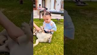 Chota Sidhu With Dog  #shorts