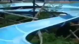 Cat goes down water slide