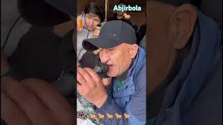 #abjirbola #kopkari #horse