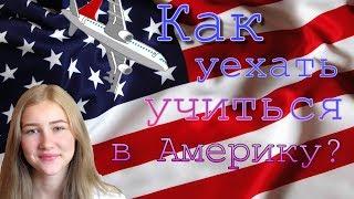 КАК БЕСПЛАТНО УЕХАТЬ УЧИТЬСЯ В АМЕРИКУ?  / ПРОГРАММА FLEX