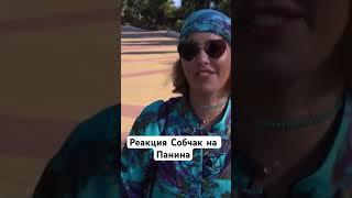 Реакция Собчак на Панина \\ Осторожно: Собчак #панин