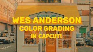 WES ANDERSON COLOR GRADING IN CAPCUT ( 3- MINUTE TUTORIAL )