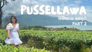 Summer House | ගිම්හාන ගෙදර | Part 2 | Pussellawa, Sri Lanka  ️