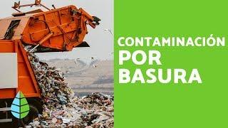 TRASH and WASTE - TRASH POLLUTION: CAUSES and CONSEQUENCES