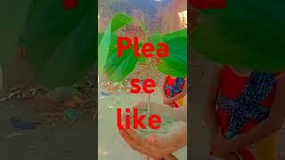 #farming #subscribe