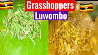 Steamed grasshoppers with organic foods for dinner, grasshoppers luwombo, ENSENENE #africanfood