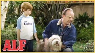 ALF Playing Fetch | S2 Ep20 Clip