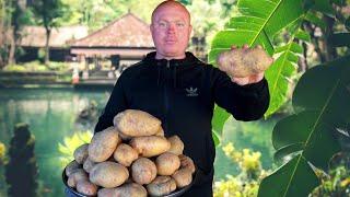 The Secret to Perfect Homemade Potato Chips!