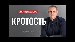 Кротость   Александр Шевченко