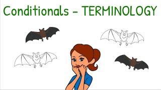 Conditionals, Terminology - English grammar, MISTAKETIONARY® project