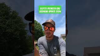 Ugly "Weed" in Scotts Provista KBG and Plan of attack 2024 #lawncare #lawnlife #lawncare101