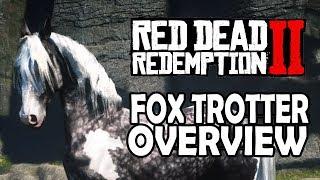 Missouri Fox Trotter Overview | Red Dead Redemption 2 Horses