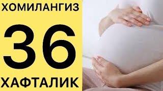 СИЗНИ БОЛАЖОНИНГИЗ 9 ОЙЛИК БУЛДИ