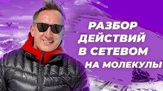 Оцифровка бизнеса в МЛМ. Анатолий Евсигнеев