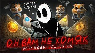 КТО ОН ? CRYPTO WHALE - ВСЯ ПРАВДА ПРО ХАМСТЕР КОМБАТ / Когда Листинг, Аирдроп, Цена Монеты