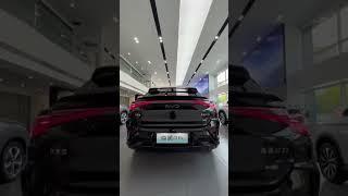 BYD Sea Lion 07 ASMR