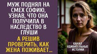 Муж поднял на смех Софию, узнав, ЧТО она получила в наследство в глуши… А решив проверить жену…