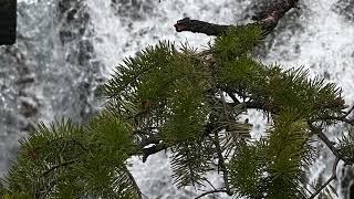 Glacier National Park