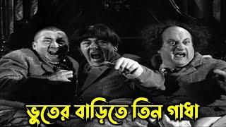 ভুতের বাড়িতে তিন গাধা _ Three Stooges bangla funny video _ Little fun entertainment