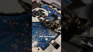 I'm Not FIXING This LAPTOP! Bed Bugs! Cat Pee! #laptoprepair #pc #tech