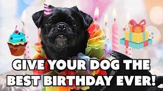 10 Tips for the Best Dog Birthday Party Ever!