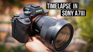 Shoot TIMELAPSE with Sony a7iii/a7Riii - Firmware Update 3.0