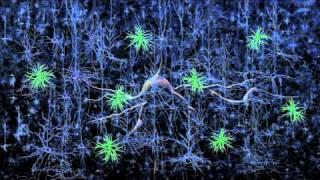 Optogenetics: Controlling the brain with light