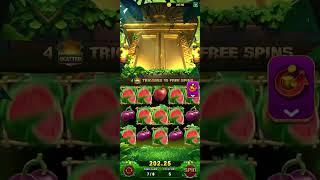 yono game jungle delight slot game