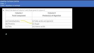 4. Match the items in Column 1 to column II