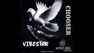 VIBESTAR - CHOOSER- [FLAMEBILL REC..]