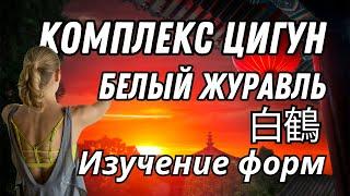 КОМПЛЕКС ЦИГУН Белый Журавль. ИЗУЧЕНИЕ ФОРМ