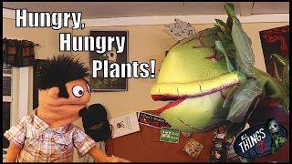 Hungry, Hungry Plants! - All Things Z