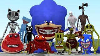 NEW SHIN SONIC TAPES VS CARTOON CAT, SIREN HEAD, ELONGATED ELMO, SPONGEBOB CURSED AND OTHER In GMod!