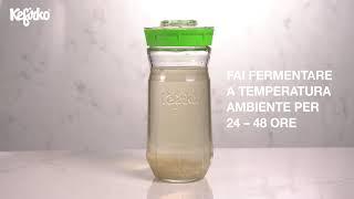 COME PREPARARE IL KEFIR D’ACQUA CON KEFIRKO KEFIR FERMENTER