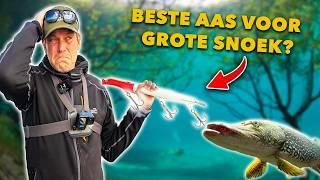 Leer ALLES over het VISSEN met JERKBAITS op SNOEK!