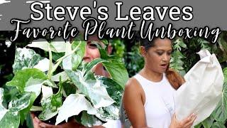 STEVE'S LEAVES - Favorite Unboxing! Plant Shopping, Ordering Plants Online, Tropical Houseplants