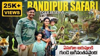 Experience the THRILL of Bandipur Tiger Safari | Elephant Attack | Bandipur Safari in Telugu