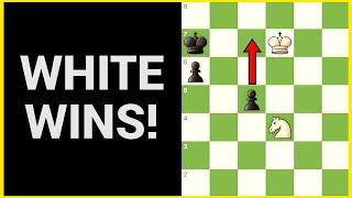 How To Checkmate With A Knight?