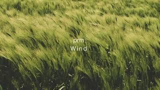 prm. - Wind (Official Audio)