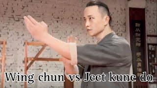 Wing Chun vs Jeet Kune Do Martial Arts Training | #wingchun #vs #jeetkunedo