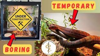 Building a Temporary Snake Enclosure For My Dominican Red Mountain Boa