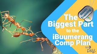 iBuumerang Compensation Plan: The Biggest Part Of The iBuumerang Compensation Plan