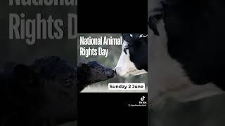 National Animal Rights Day #govegan #animaljustice #animalrights #endspeciesism #animalactivism