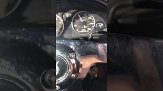She Escaped On The Highway #cat #animals #health #life #lifestyle