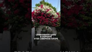 Сравниваем цены в Израиле и на Северном Кипре #северныйкипр #кипр #недвижимость #квартиры #израиль