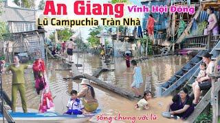 Lũ Campuchia tràn qua biên giới ngập nhà An Giang dân khổ sống chung với lũ như thời xưa