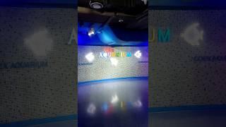 The COEX Aquarium 